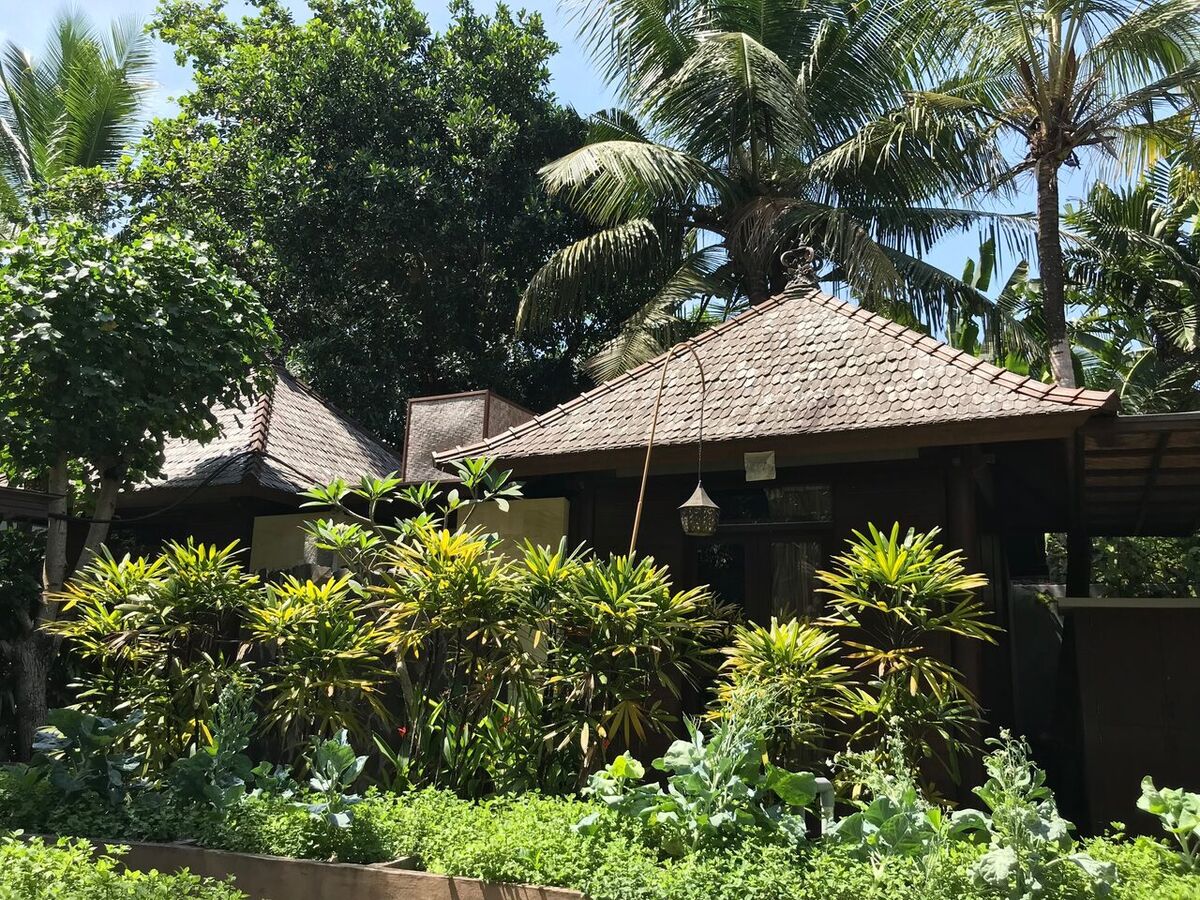 Taksu Spa Ubud: A Holistic Healing Sanctuary Amid Tropical Gardens