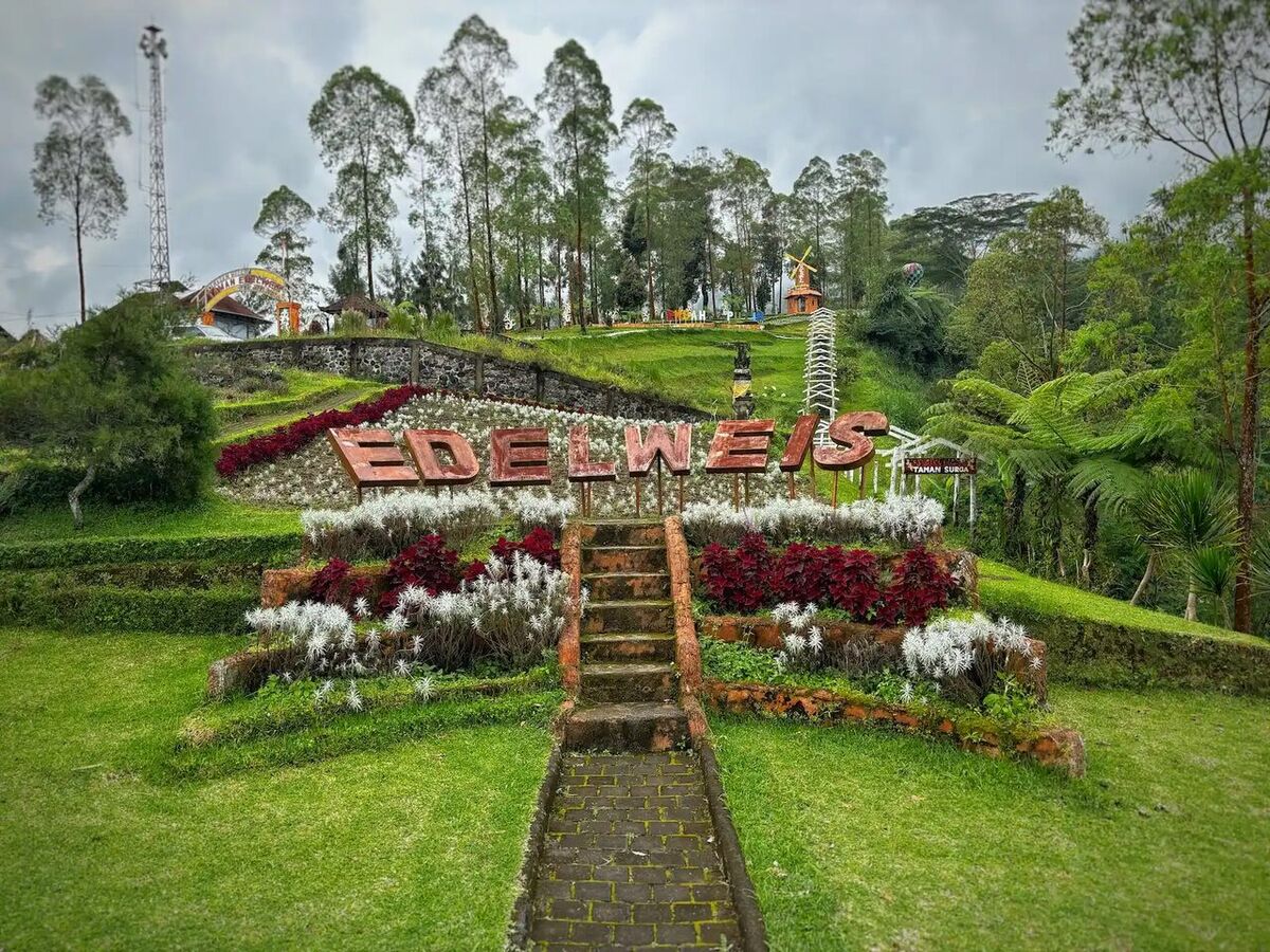 Taman Edelweis Bali, Besakih: Kasna Flower Fields on the Slopes of Mount Agung