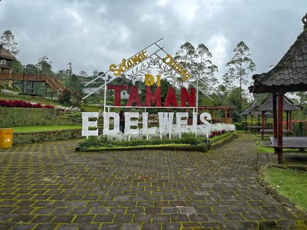 Taman Edelweis Bali, Besakih: Padang Bunga Kasna di Lereng Gunung Agung