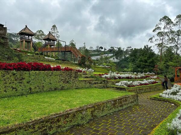 Taman Edelweis Bali, Besakih: Padang Bunga Kasna di Lereng Gunung Agung