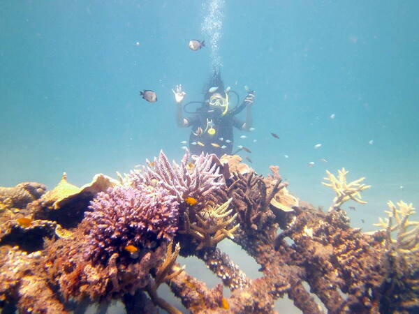 Taman Karang Biorock Pemuteran: Snorkeling di Atas Kebun Karang Bertenaga Listrik