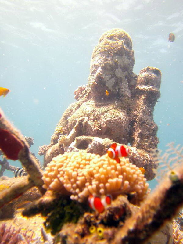 Taman Karang Biorock Pemuteran: Snorkeling di Atas Kebun Karang Bertenaga Listrik