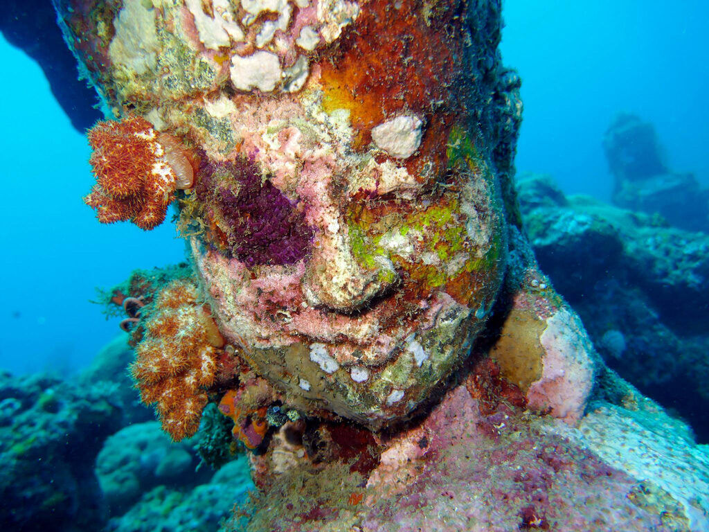 Temple Garden or Biorock Pemuteran? Dive vs Snorkel