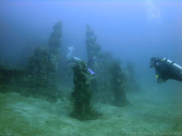 Temple Garden atau Biorock Pemuteran? Selam vs Snorkel
