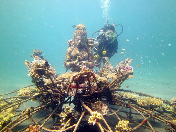 Temple Garden atau Biorock Pemuteran? Selam vs Snorkel