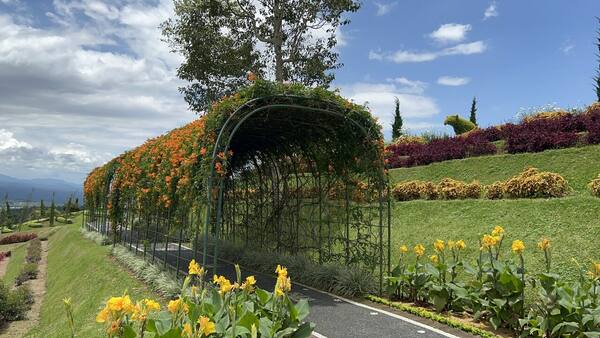The Blooms Garden Bedugul: Tickets, Hours, Good for Kids?