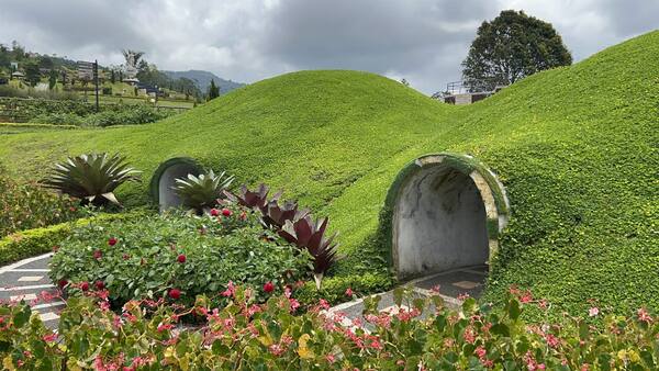 The Blooms Garden Bedugul: Tiket, Jam Buka, Cocok untuk Anak?