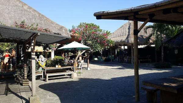 The Cashew Tree Bingin: Kafe Taman Legendaris Uluwatu & Malam Kamis Live Music