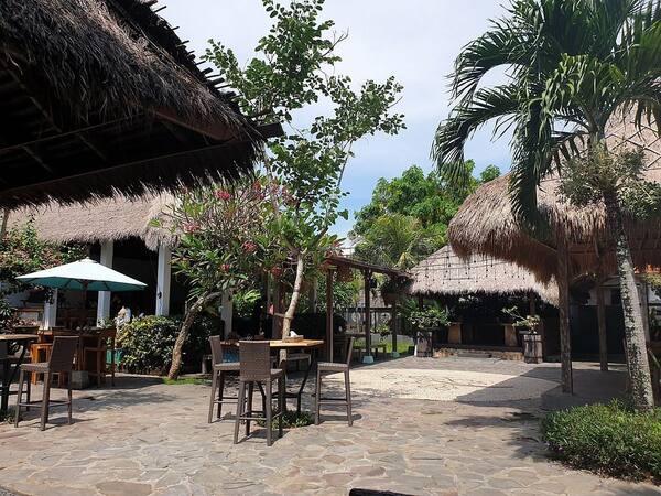 The Cashew Tree Bingin: Kafe Taman Legendaris Uluwatu & Malam Kamis Live Music