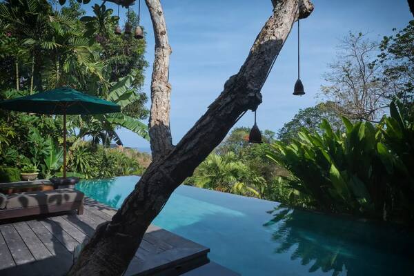 The Damai, Lovina: Resor Butik Perbukitan dengan Kebun Organik
