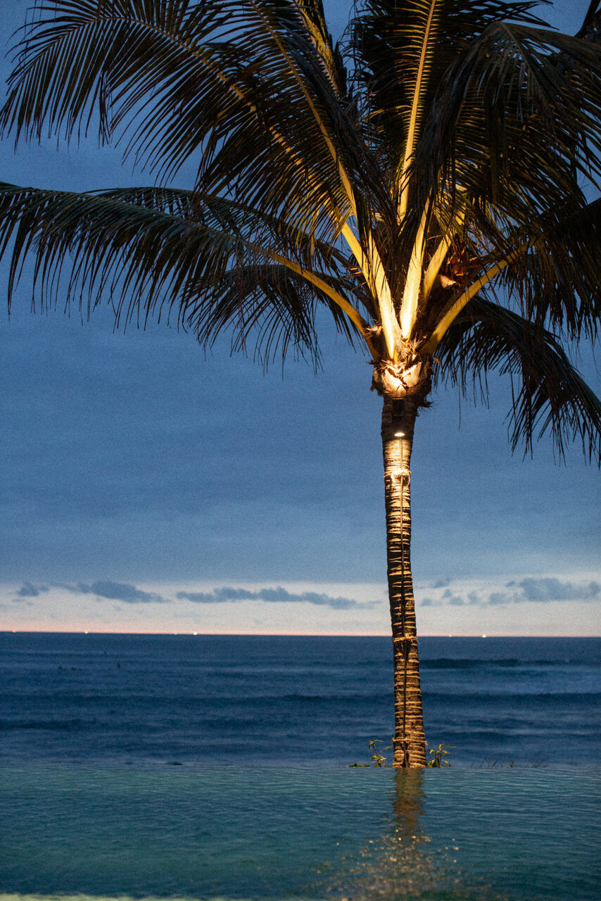 The Lawn Canggu: Sunset, Cocktails, and the Best Beach Vibes at Echo Beach