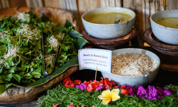 The Yoga Barn Ubud: Pusat Yoga Ikonik, Sound Healing & Kafe Sehat