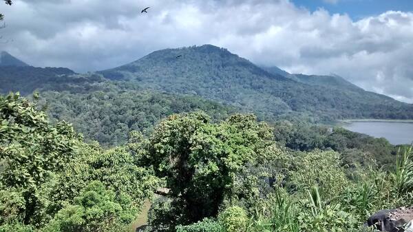 Trekking Gunung Catur: Pura Sunyi di 2.096 Mdpl Atas Bedugul