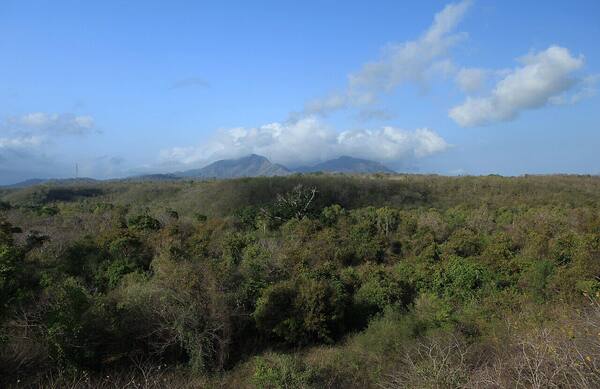 Trekking Prapat Agung, Bali Barat: Rute Pagi, Tiket, Pemandu