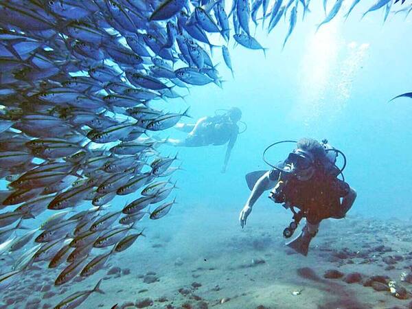 Tulamben Drop Off: Dinding Karang Vertikal di Karangasem