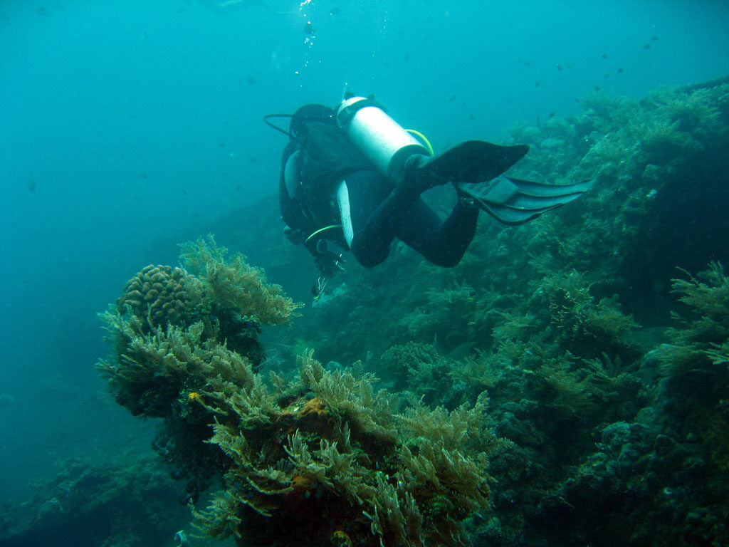 USS Liberty Shipwreck, Tulamben
