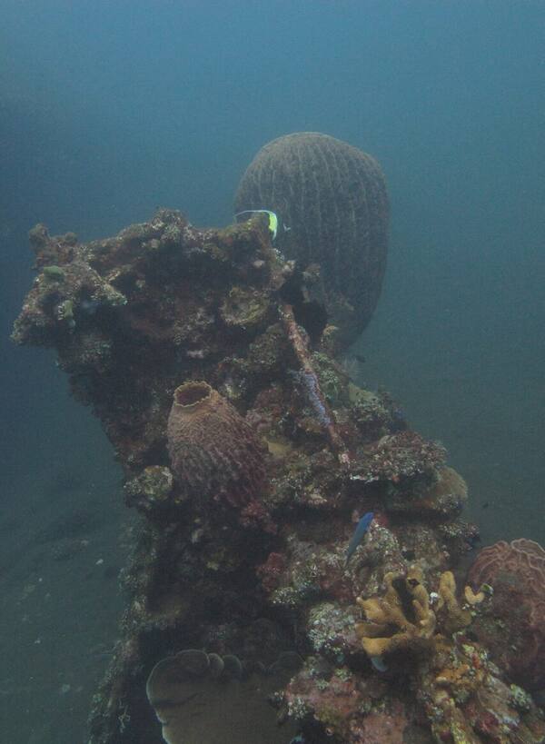 USS Liberty Shipwreck, Tulamben