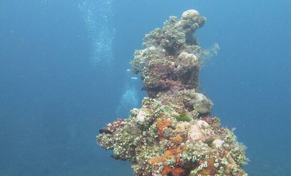 USS Liberty Shipwreck, Tulamben