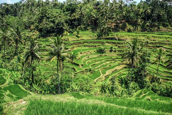 Voucher Hotel Bali untuk Long Stay 2026: Cara Hemat Menginap 7–30 Malam di Ubud, Canggu & Sanur