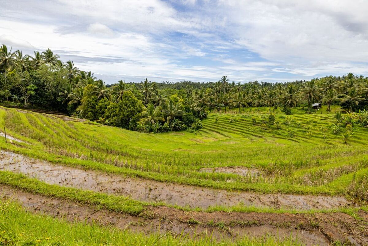 Beste Reisezeit für Bali: Trocken- vs. Regenzeit, Hotelpreise & Sparen mit Gutscheinen
