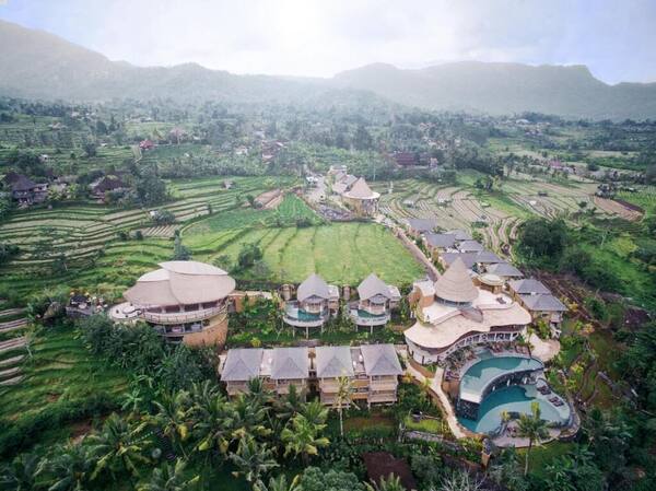 Wapa di Ume Sidemen: Kolam Infinity Menghadap Sawah dan Gunung Agung
