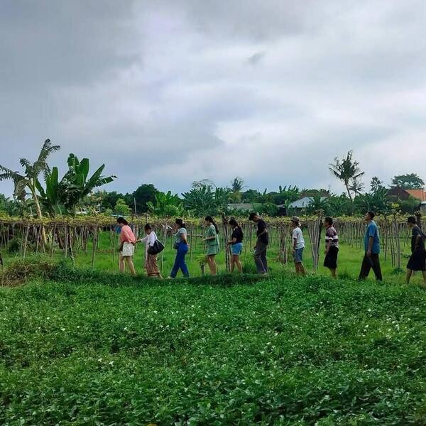 Wira Grape Sejahtera Seririt: Petik Anggur, Layak Mampir?