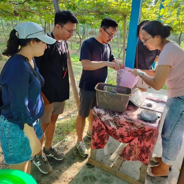Wira Grape Sejahtera Seririt: Petik Anggur, Layak Mampir?